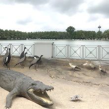 Lade das Bild in den Galerie-Viewer, Königlicher Besuch aus Bonn