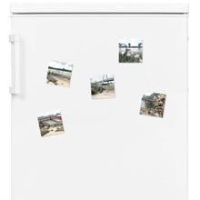 Lade das Bild in den Galerie-Viewer, Königlicher Besuch aus Bonn