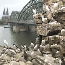 Lade das Bild in den Galerie-Viewer, Königlicher Besuch aus Bonn