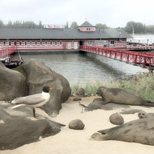 Lade das Bild in den Galerie-Viewer, Königlicher Besuch aus Bonn