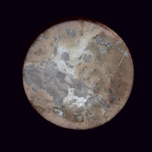 Lade das Bild in den Galerie-Viewer, Teele