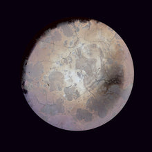 Lade das Bild in den Galerie-Viewer, Teele