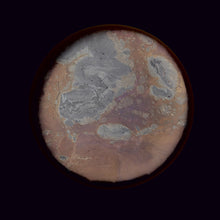 Lade das Bild in den Galerie-Viewer, Teele