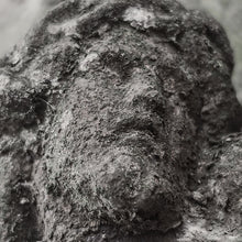 Lade das Bild in den Galerie-Viewer, Leid