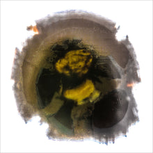 Lade das Bild in den Galerie-Viewer, Druck